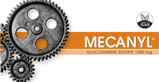 MECANYL