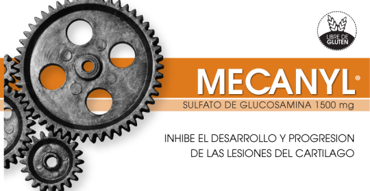 MECANYL